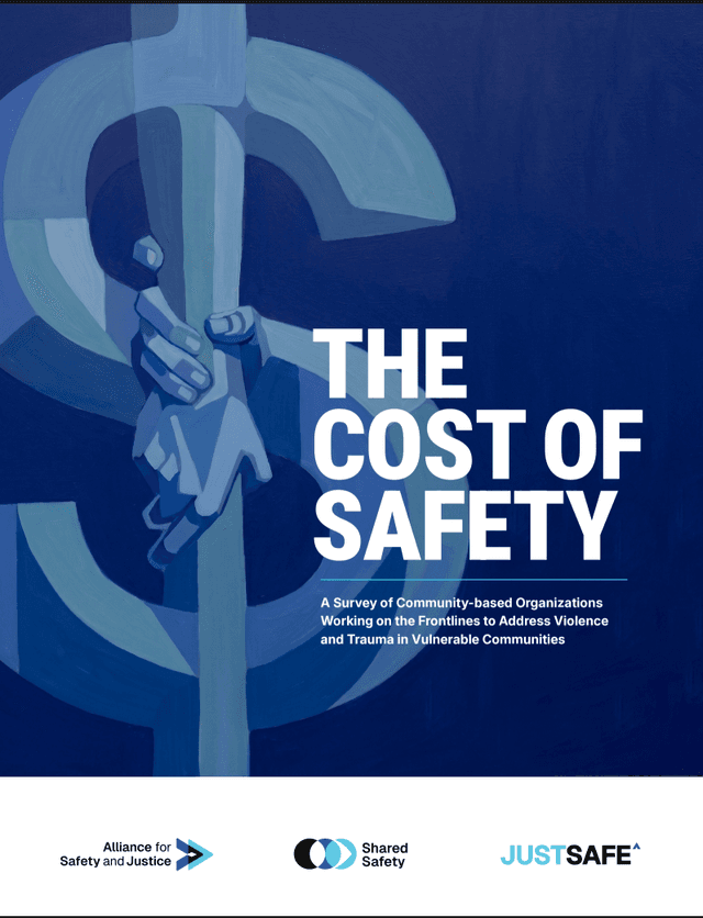 The Cost of Safety Report Cover Image